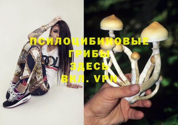 спайс Лихославль