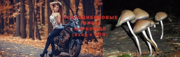 мдма Одинцово