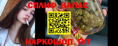 мдпв Волгодонск