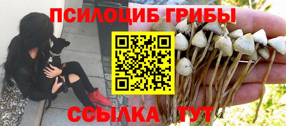 Галлюциногенные грибы MAGIC MUSHROOMS  Вход с VPN  Кемерово  Псилоцибиновые грибы мицелий 