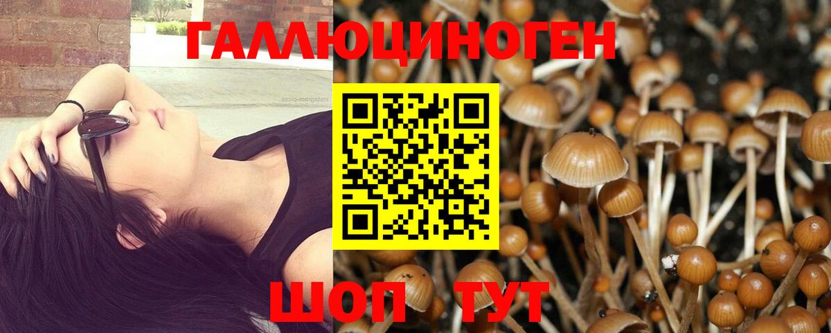 Псилоцибиновые грибы мухоморы Кемерово