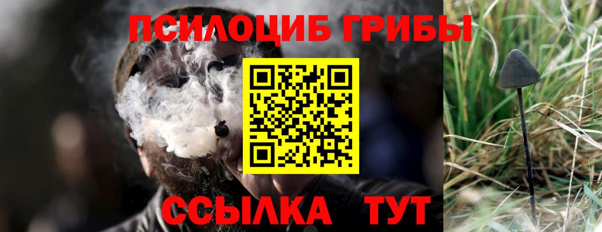 Псилоцибиновые грибы MAGIC MUSHROOMS  Кемерово 