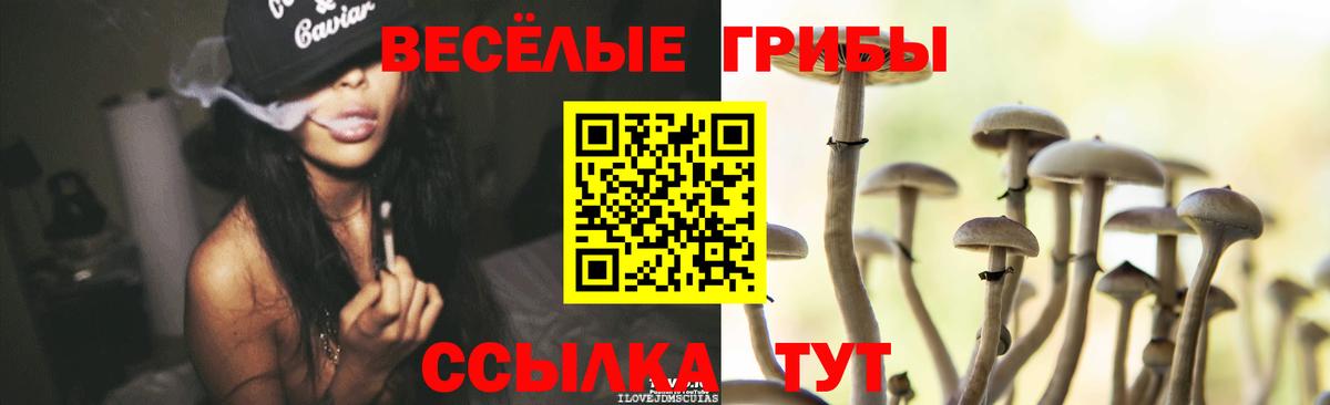 Галлюциногенные грибы прущие грибы Кемерово